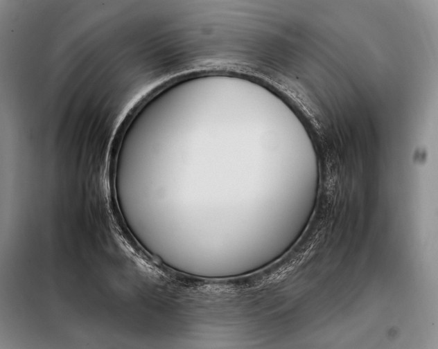 X0000098120888200804181517