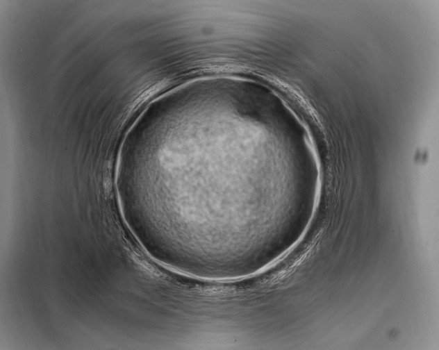 X0000098120889200804181517