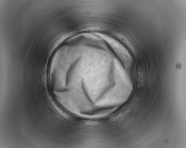 X0000098120890200804181517