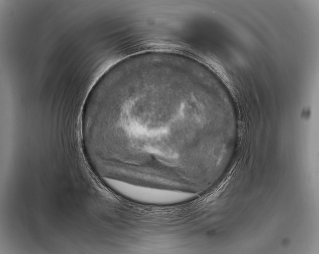 X0000098120891200804181517