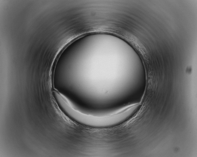 X0000098120892200804181517