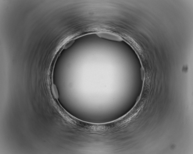 X0000098120893200804181517