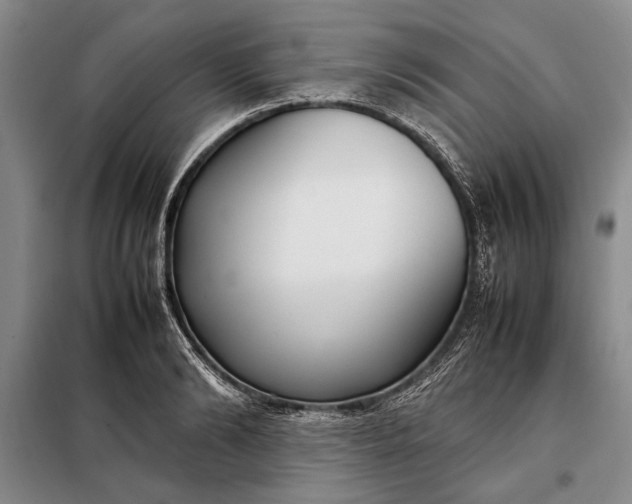 X0000098120894200804181517