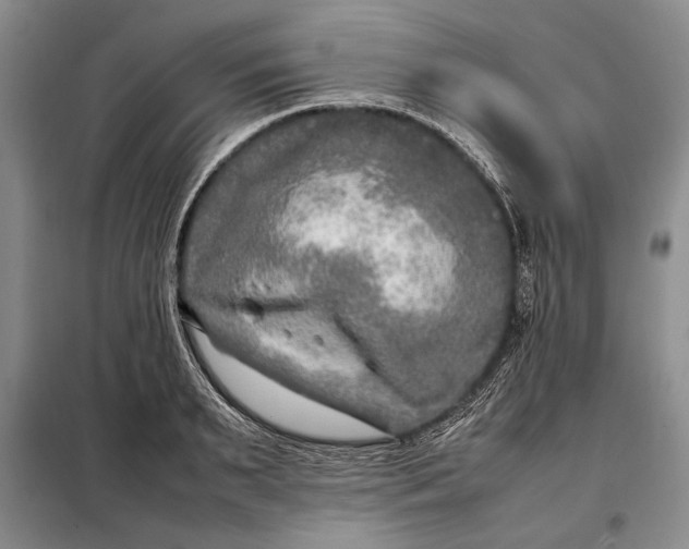 X0000098120895200804181517