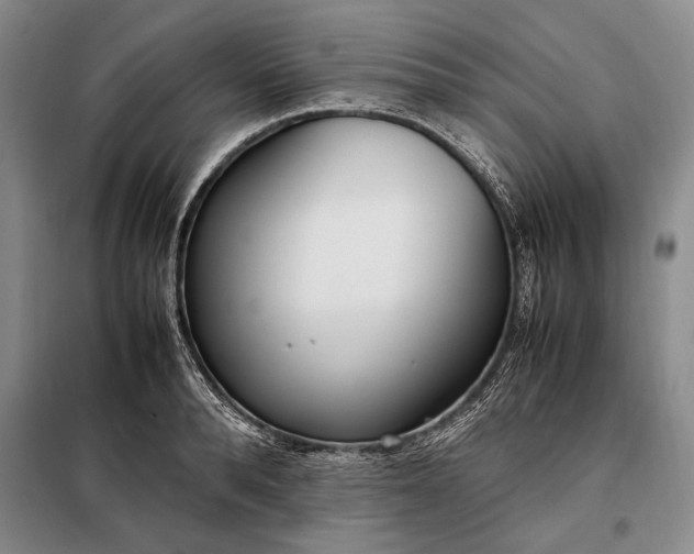 X0000098120896200804181517