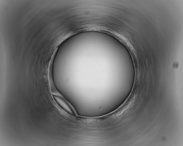 X0000098120897200804181517
