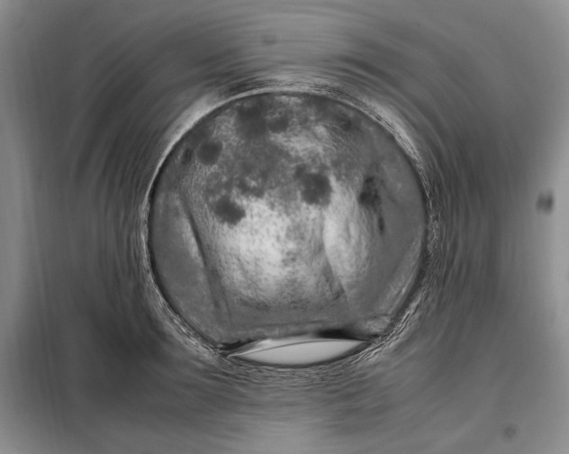 X0000098120899200804181517