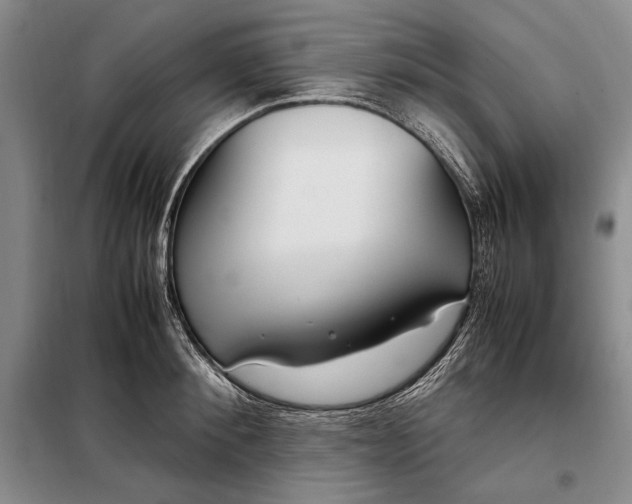 X0000098120900200804181517