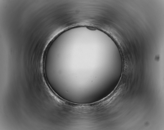 X0000098120902200804181517