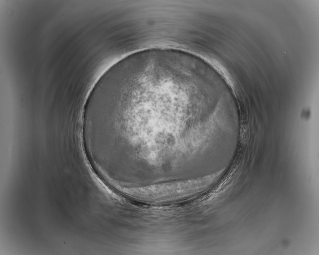 X0000098120903200804181517