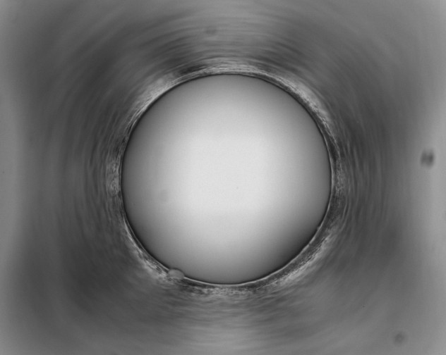 X0000098120905200804181517