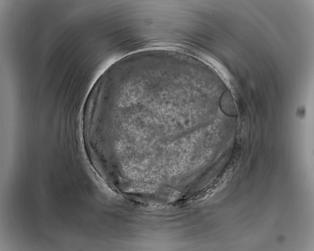 X0000098120907200804181517