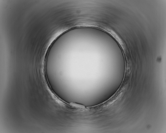 X0000098120909200804181517