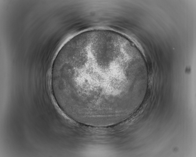 X0000098120911200804181517