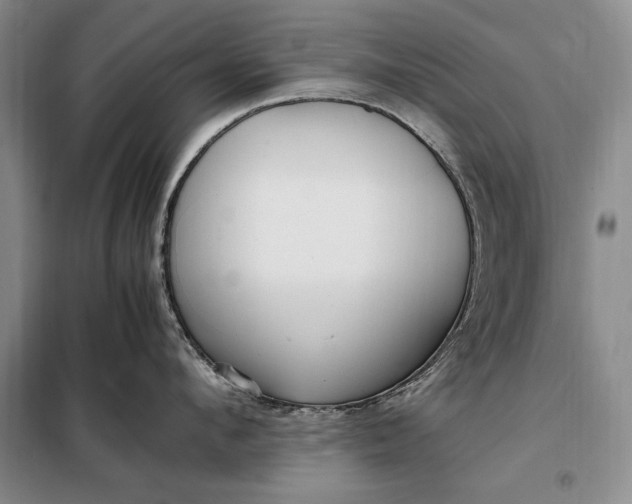 X0000098120912200804181517