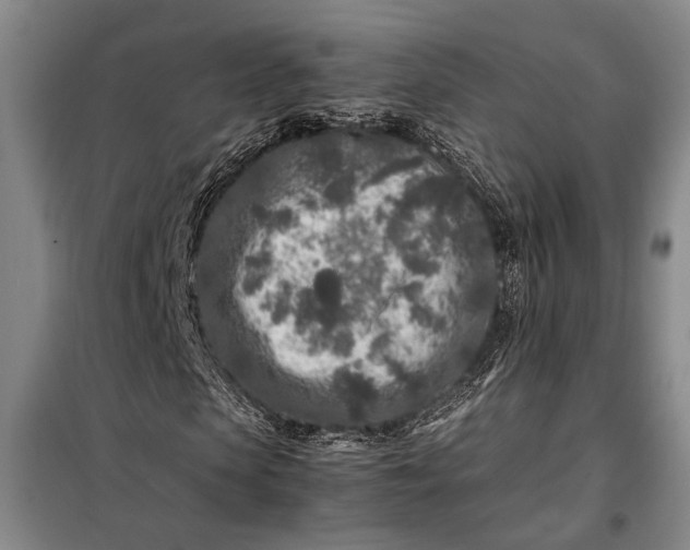 X0000098120913200804181516