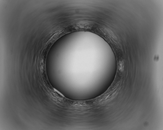 X0000098120915200804181516