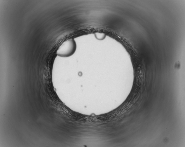 X0000098120918200804181516