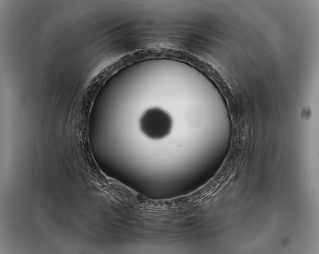 X0000098120919200804181516