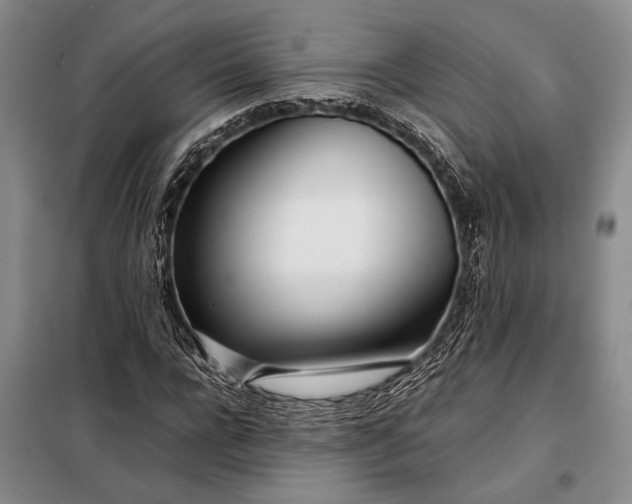 X0000098120920200804181516