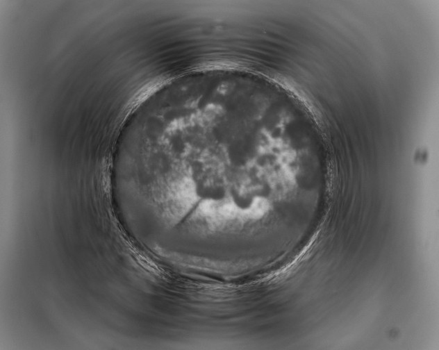 X0000098120921200804181516