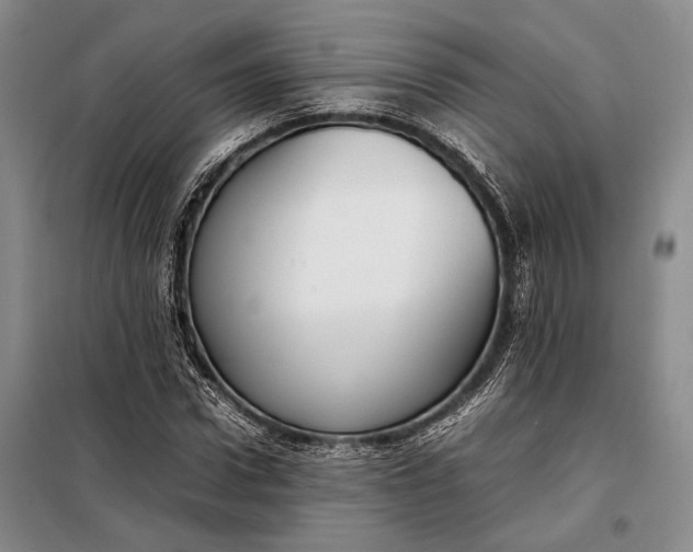 X0000098120922200804181516
