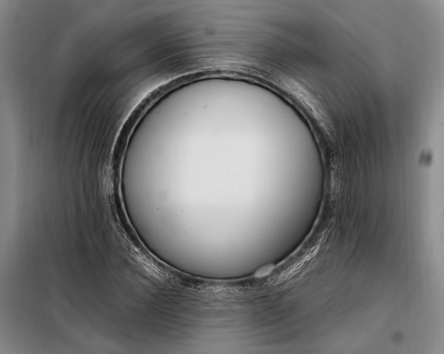 X0000098120924200804181516