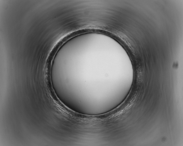 X0000098120926200804181516