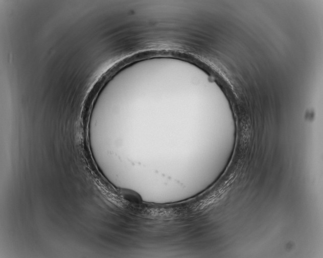 X0000098120927200804181516