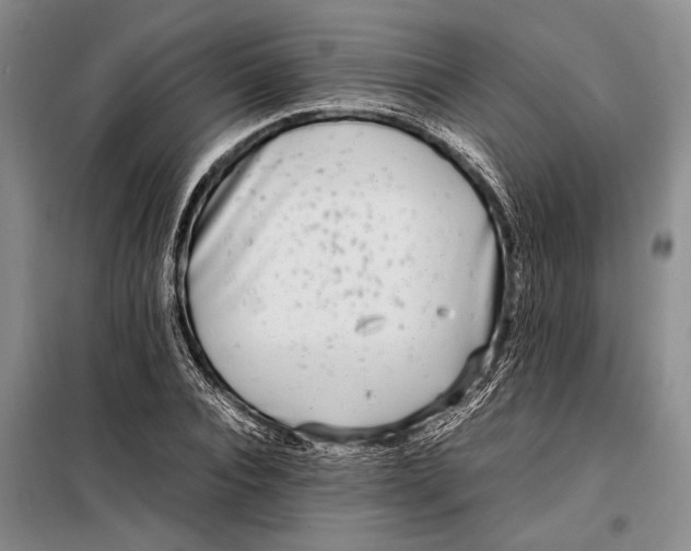 X0000098120928200804181516