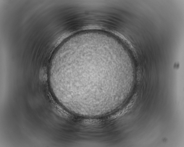 X0000098120929200804181516