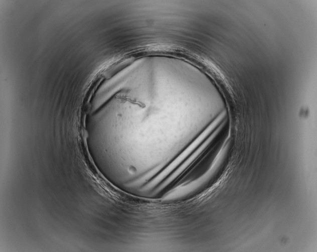 X0000098120930200804181516