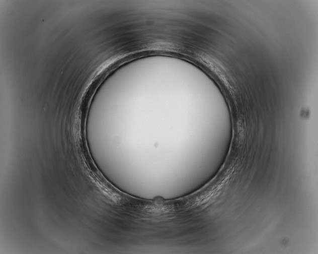 X0000098120931200804181516