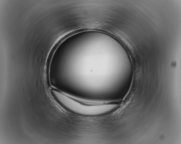X0000098120932200804181516