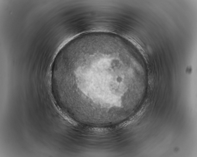 X0000098120933200804181516
