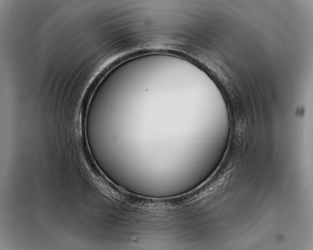 X0000098120934200804181516