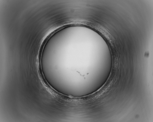 X0000098120936200804181517