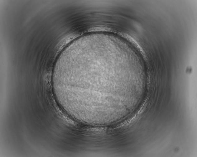 X0000098120937200804181517