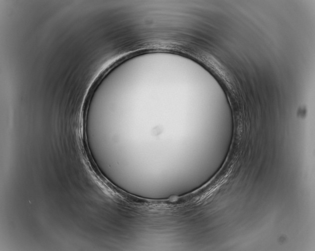 X0000098120940200804181517
