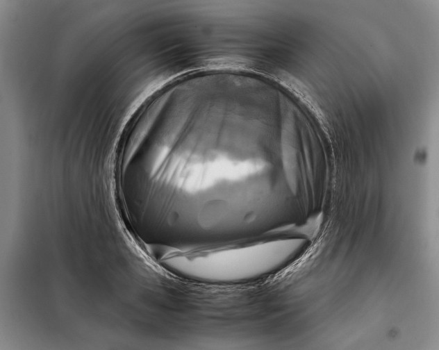 X0000098120941200804181517