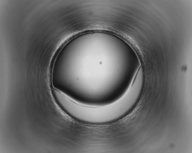 X0000098120942200804181517