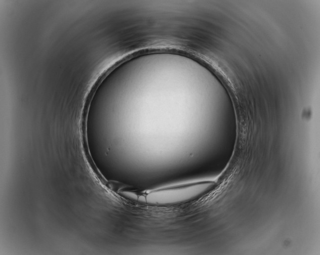 X0000098120943200804181517