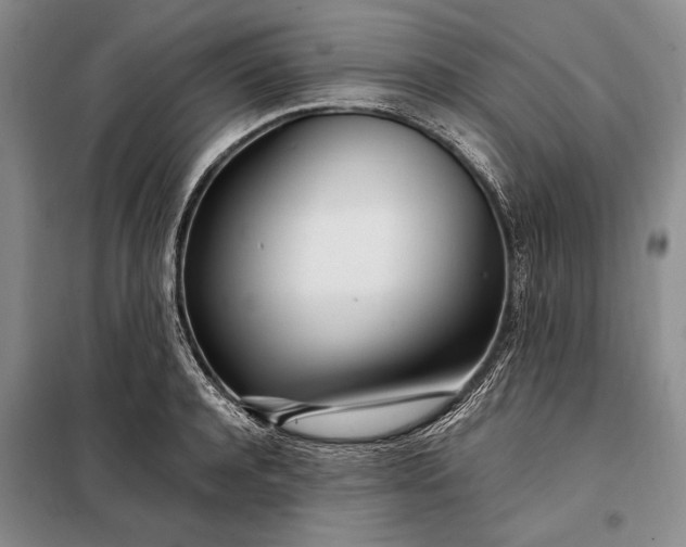 X0000098120944200804181517