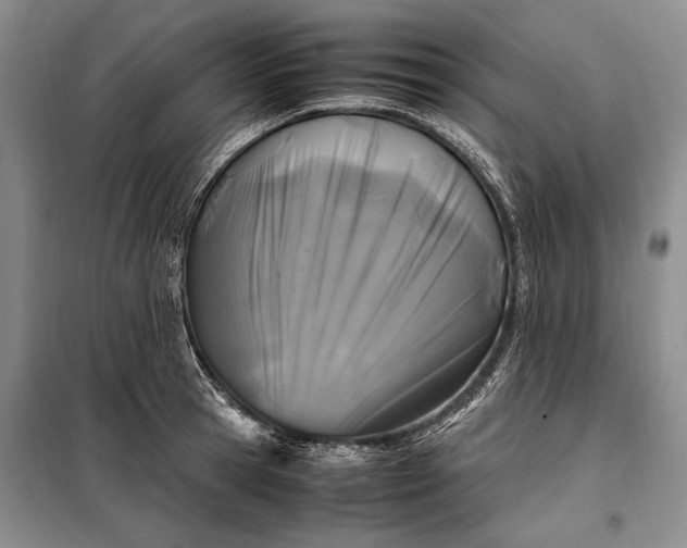X0000098120945200804181517