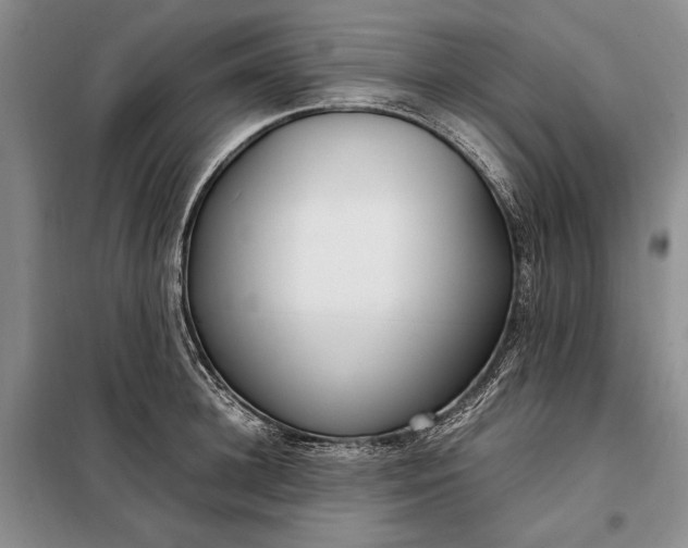 X0000098120948200804181517