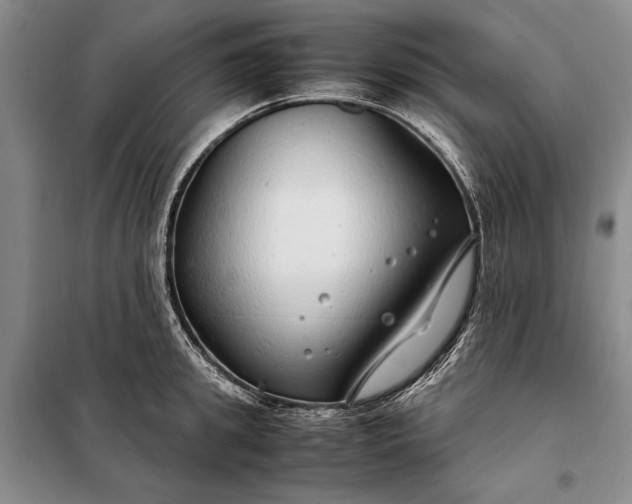 X0000098120949200804181517