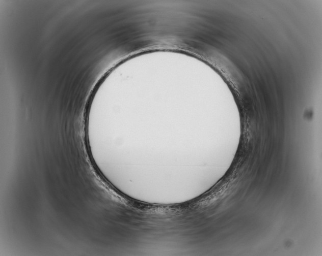 X0000098120950200804181517