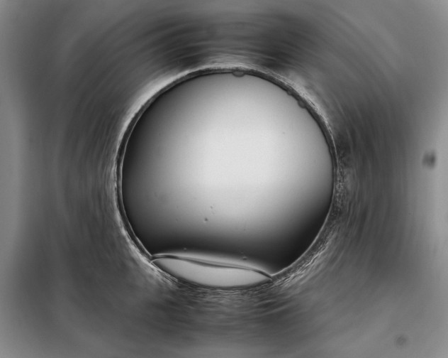 X0000098120951200804181517
