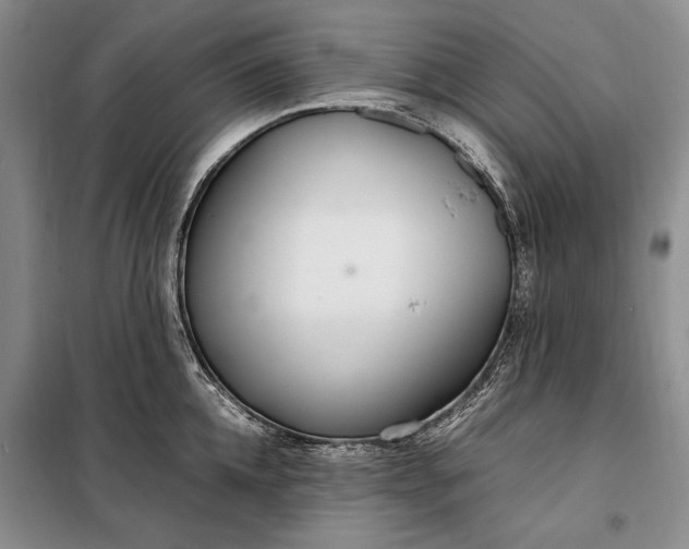 X0000098120952200804181517