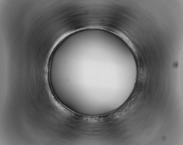 X0000098120955200804181517